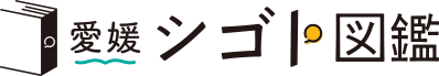 愛媛シゴト図鑑