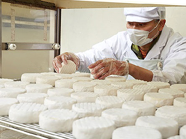 ありがとうサービス_内子町のチーズ工房