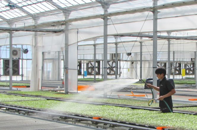 ベルグアース_作業風景