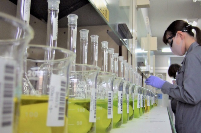 住鉱テクノリサーチ株式会社