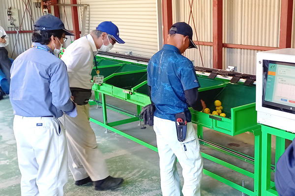 NPシステム_選果機