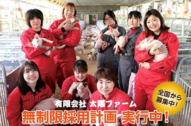 有限会社太陽ファーム